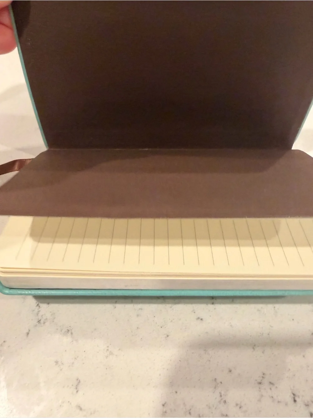 Tiffany & Co. Little Blue Book Leather Journal - Like New 🩵